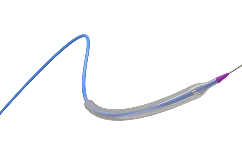 Hydrus ® Peripheral Balloon Dilatation Catheter