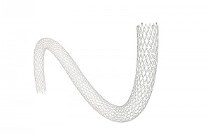 SkyNova ® Peripheral Vascular Stent System